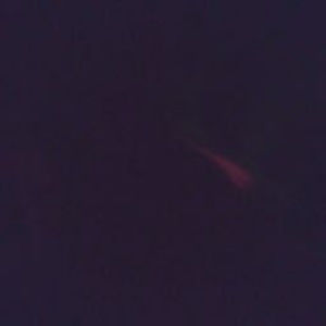 Meet your Posher, Beverly